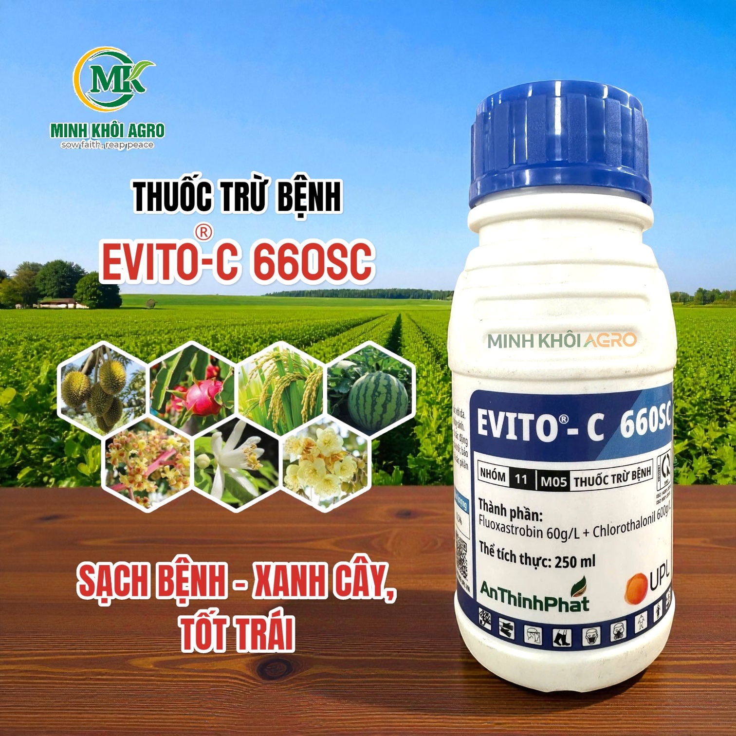 Thuốc trừ bệnh Evito-C 660SC - chai 250ml